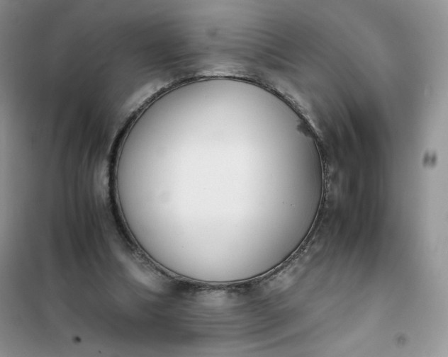 X0000102030298200808011454