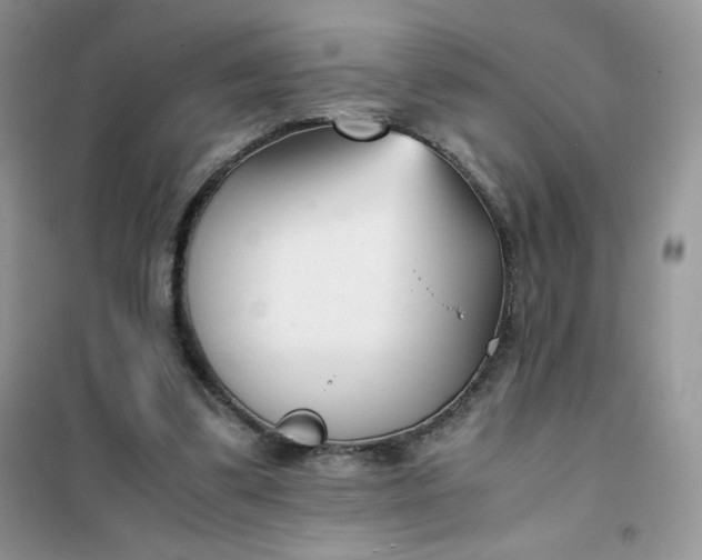 X0000102030299200808011454