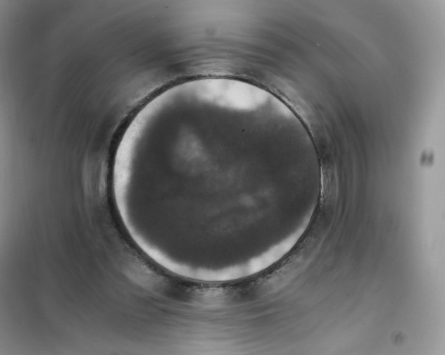 X0000102030301200808011454