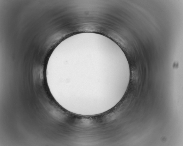 X0000102030302200808011454