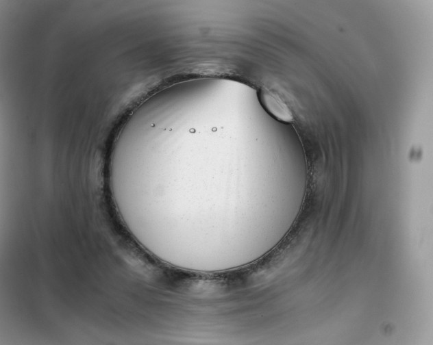 X0000102030303200808011454