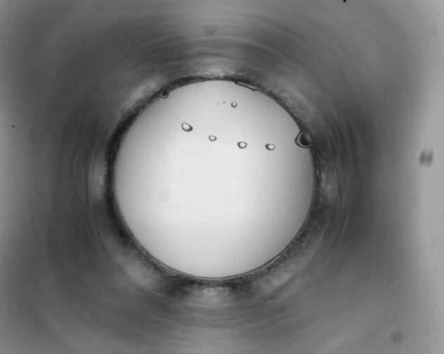 X0000102030304200808011454