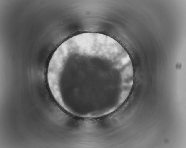 X0000102030305200808011453