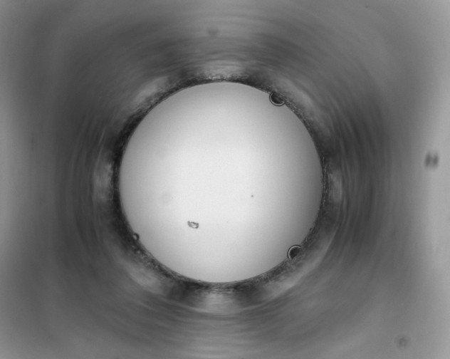 X0000102030308200808011453