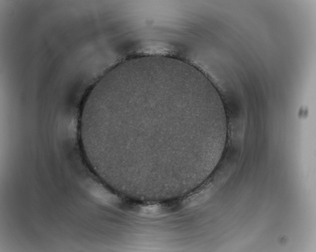 X0000102030309200808011453