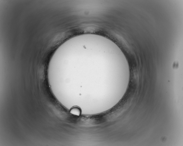 X0000102030311200808011453