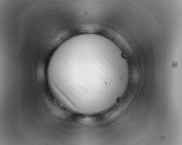 X0000102030312200808011453