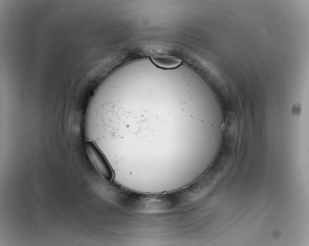 X0000102030315200808011453