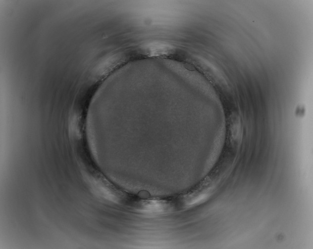 X0000102030316200808011453