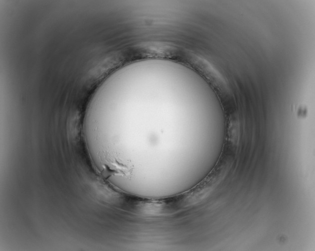 X0000102030318200808011453