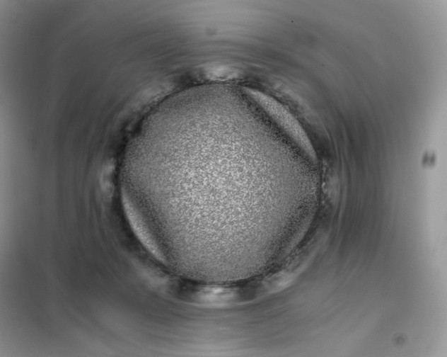 X0000102030319200808011453