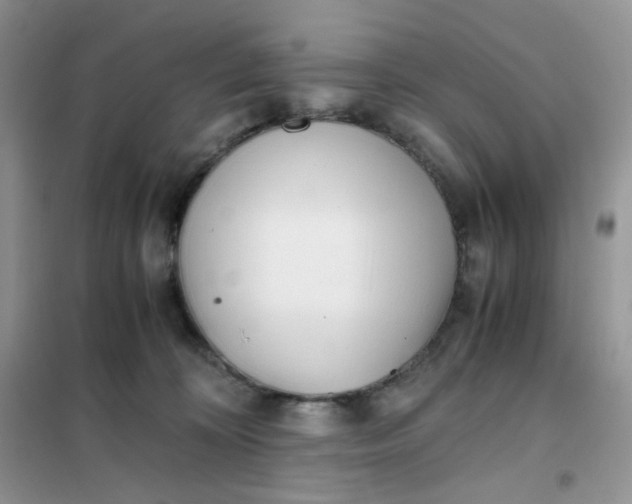 X0000102030324200808011453