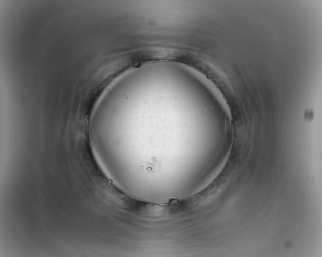 X0000102030325200808011453