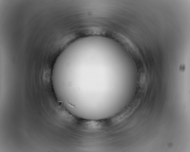 X0000102030326200808011453