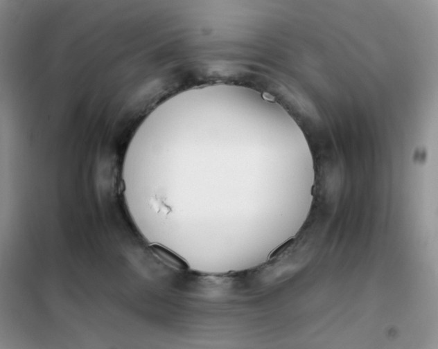 X0000102030328200808011453