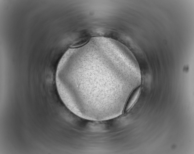 X0000102030331200808011453