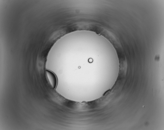 X0000102030333200808011453