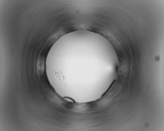 X0000102030334200808011453