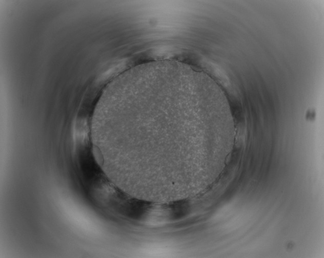 X0000102030335200808011453