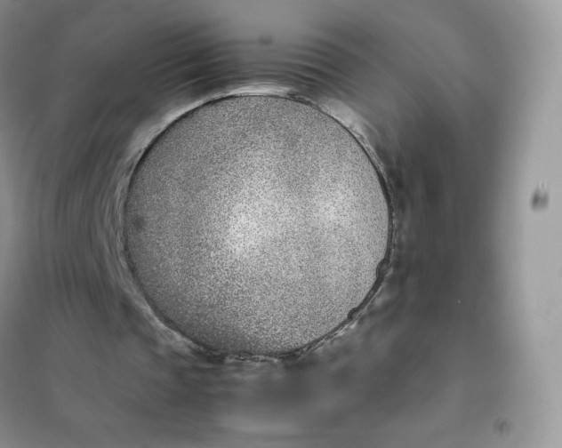 X0000102030337200808011452