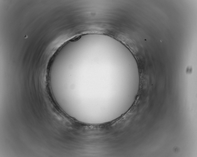 X0000102030338200808011452