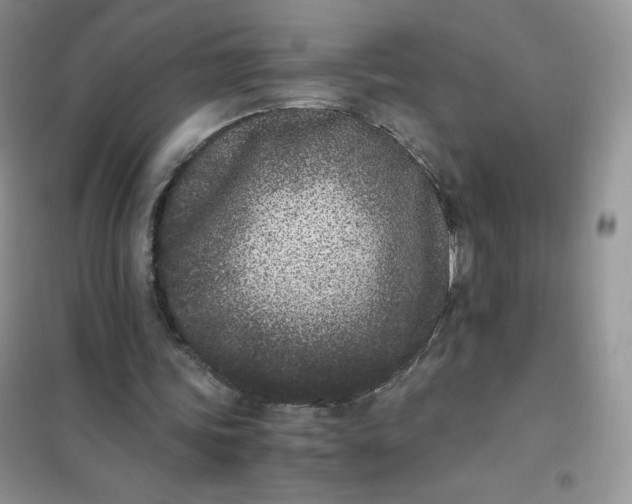 X0000102030339200808011452