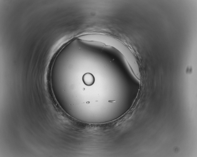 X0000102030340200808011452