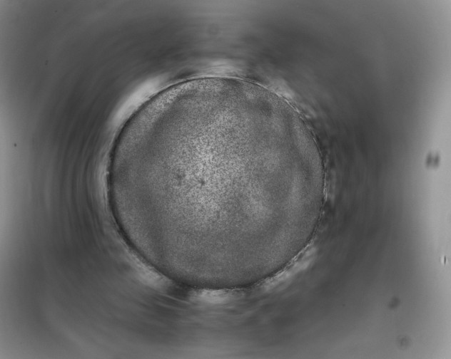 X0000102030341200808011452