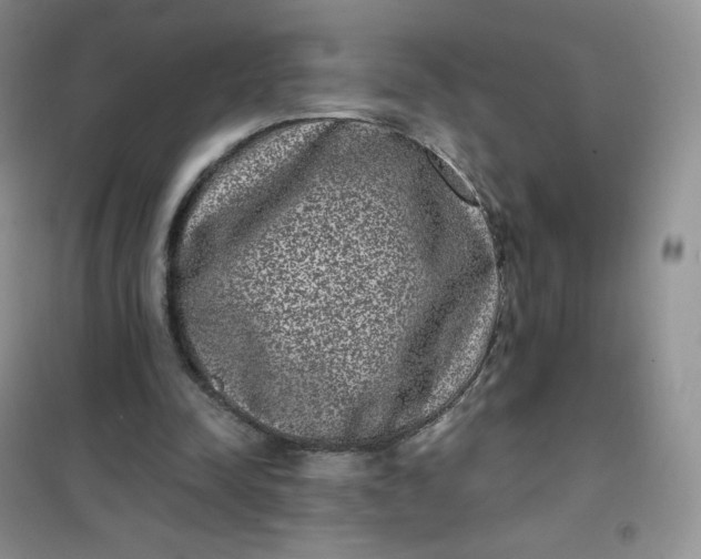 X0000102030342200808011452