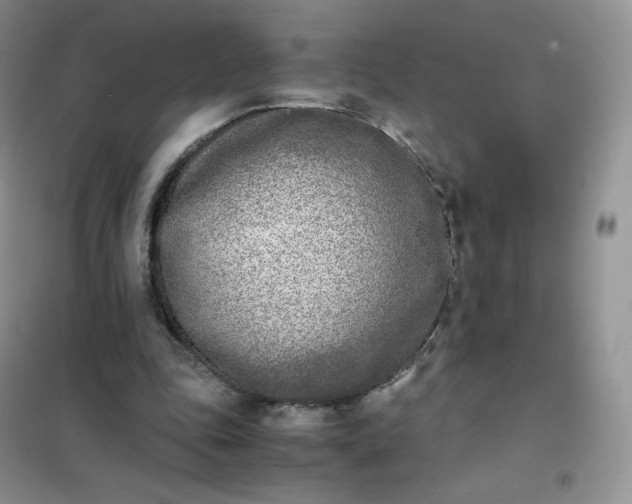 X0000102030343200808011452