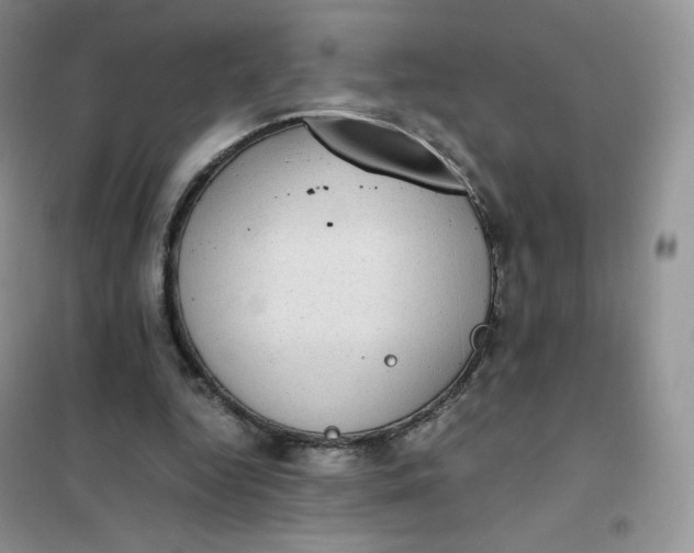 X0000102030344200808011453