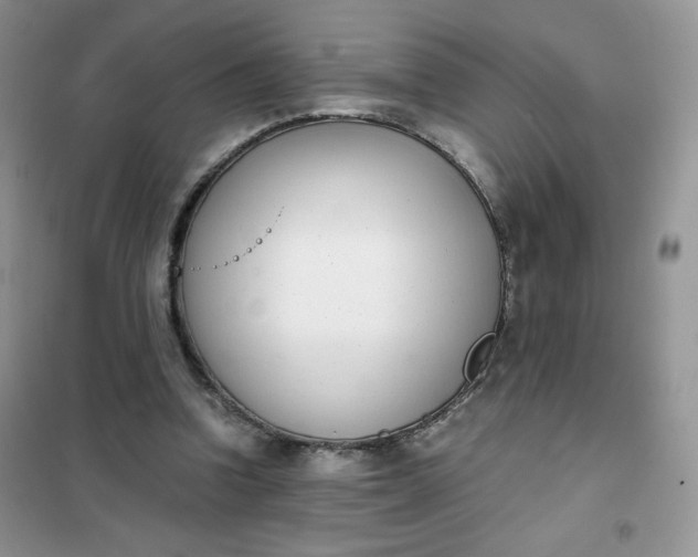 X0000102030346200808011453