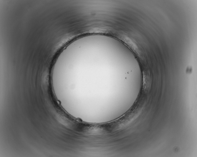 X0000102030348200808011453