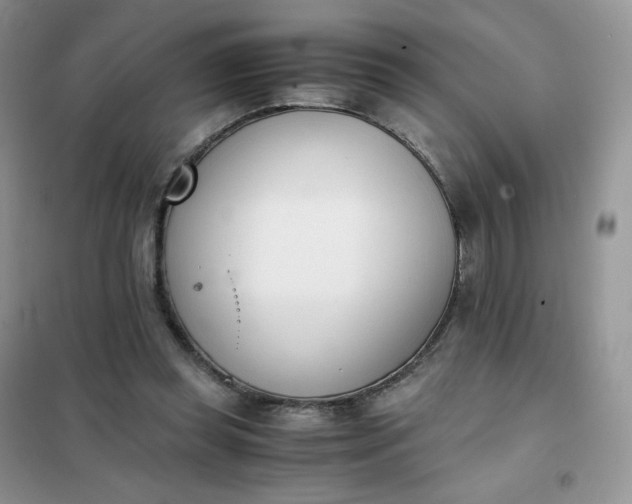 X0000102030349200808011453