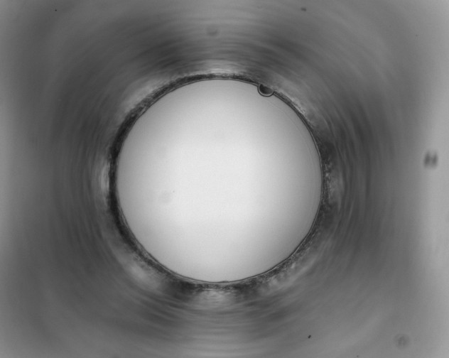 X0000102030350200808011453