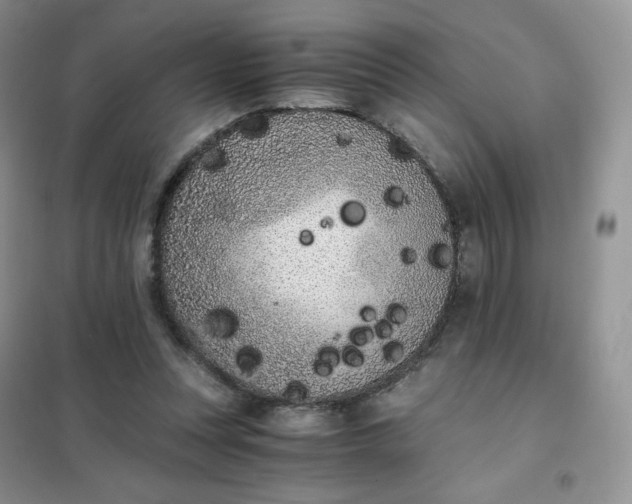 X0000102030351200808011453