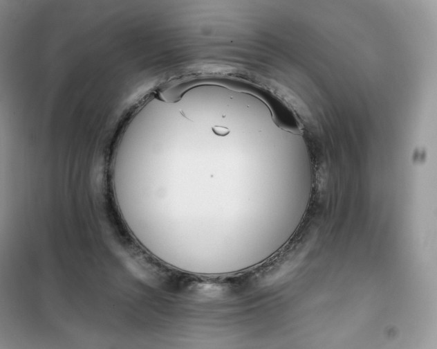 X0000102030352200808011453