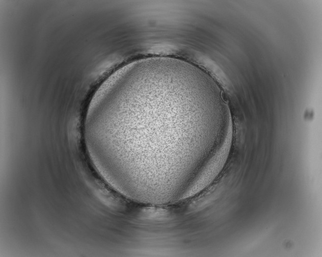 X0000102030354200808011453