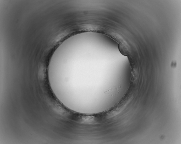 X0000102030355200808011453