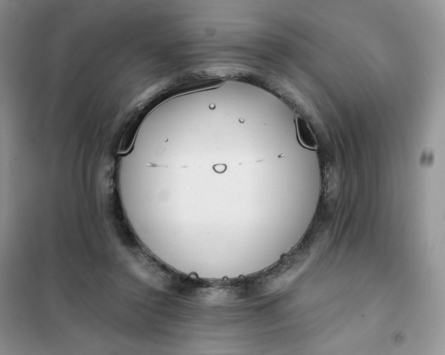 X0000102030356200808011453