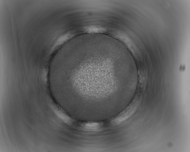 X0000102030357200808011453