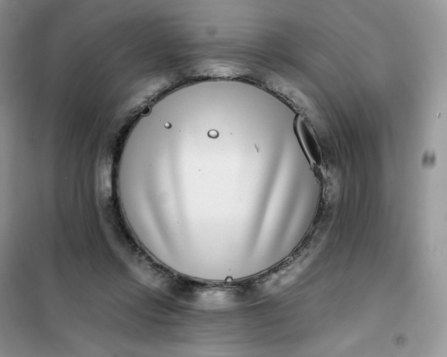 X0000102030358200808011453