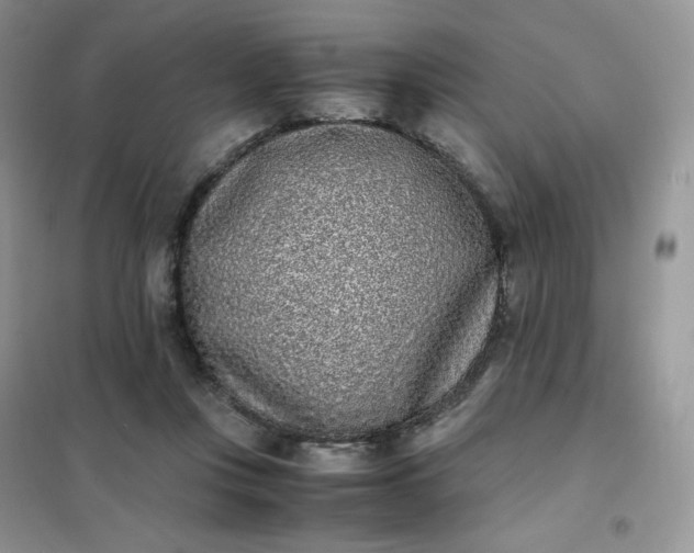 X0000102030359200808011453