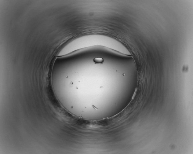 X0000102030360200808011453