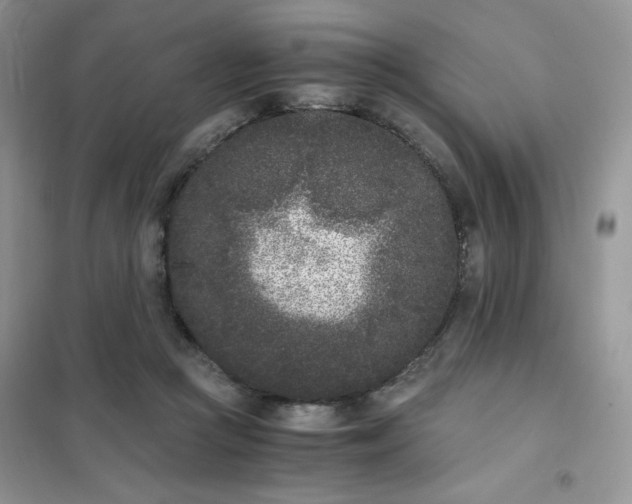 X0000102030361200808011453