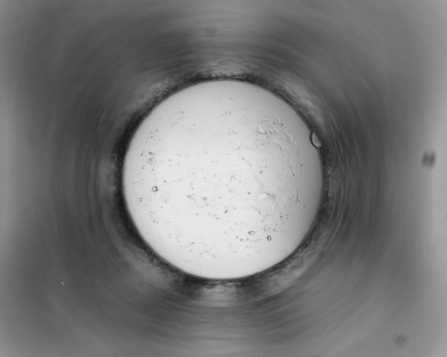 X0000102030362200808011453