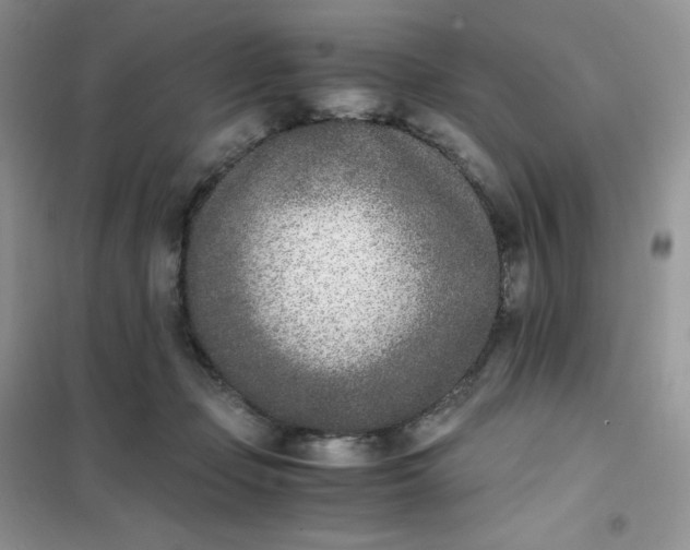 X0000102030365200808011453