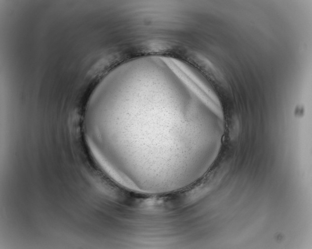 X0000102030366200808011453