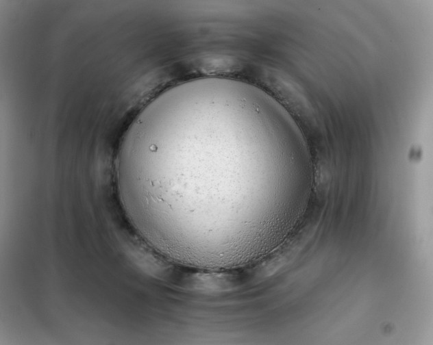 X0000102030367200808011453