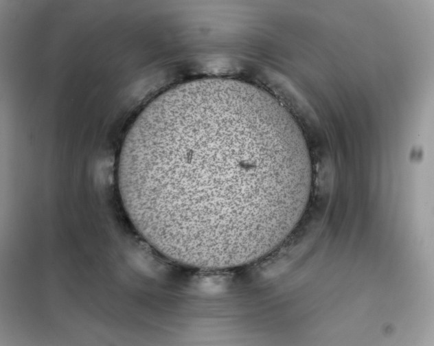 X0000102030368200808011453